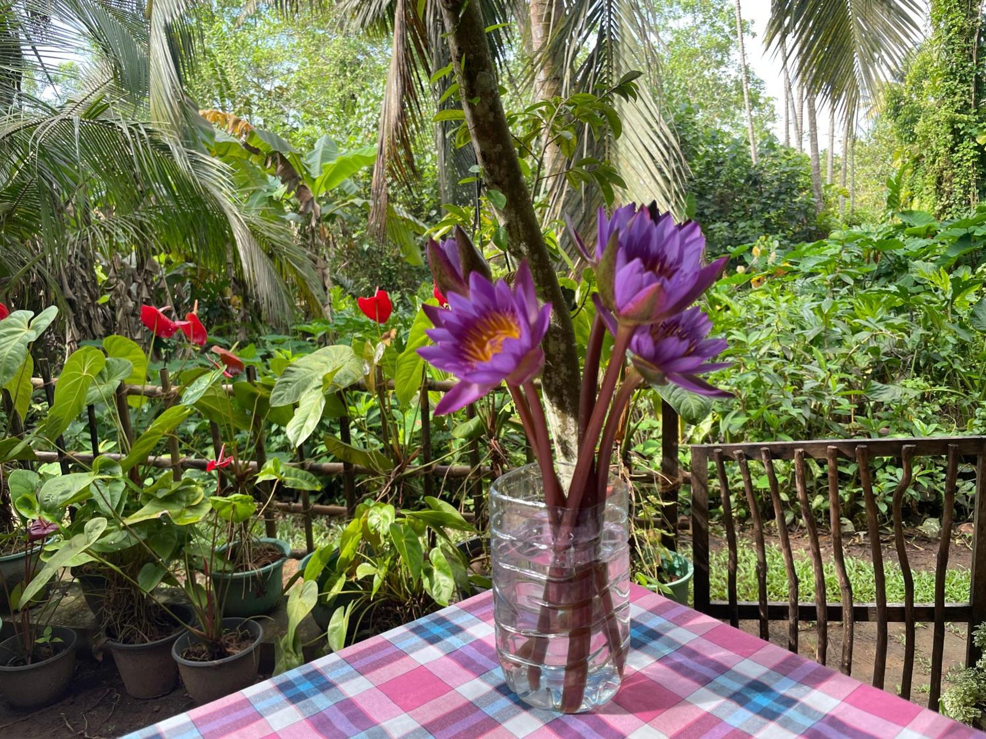 Sun & Tree Homestay Mirissa Exterior foto