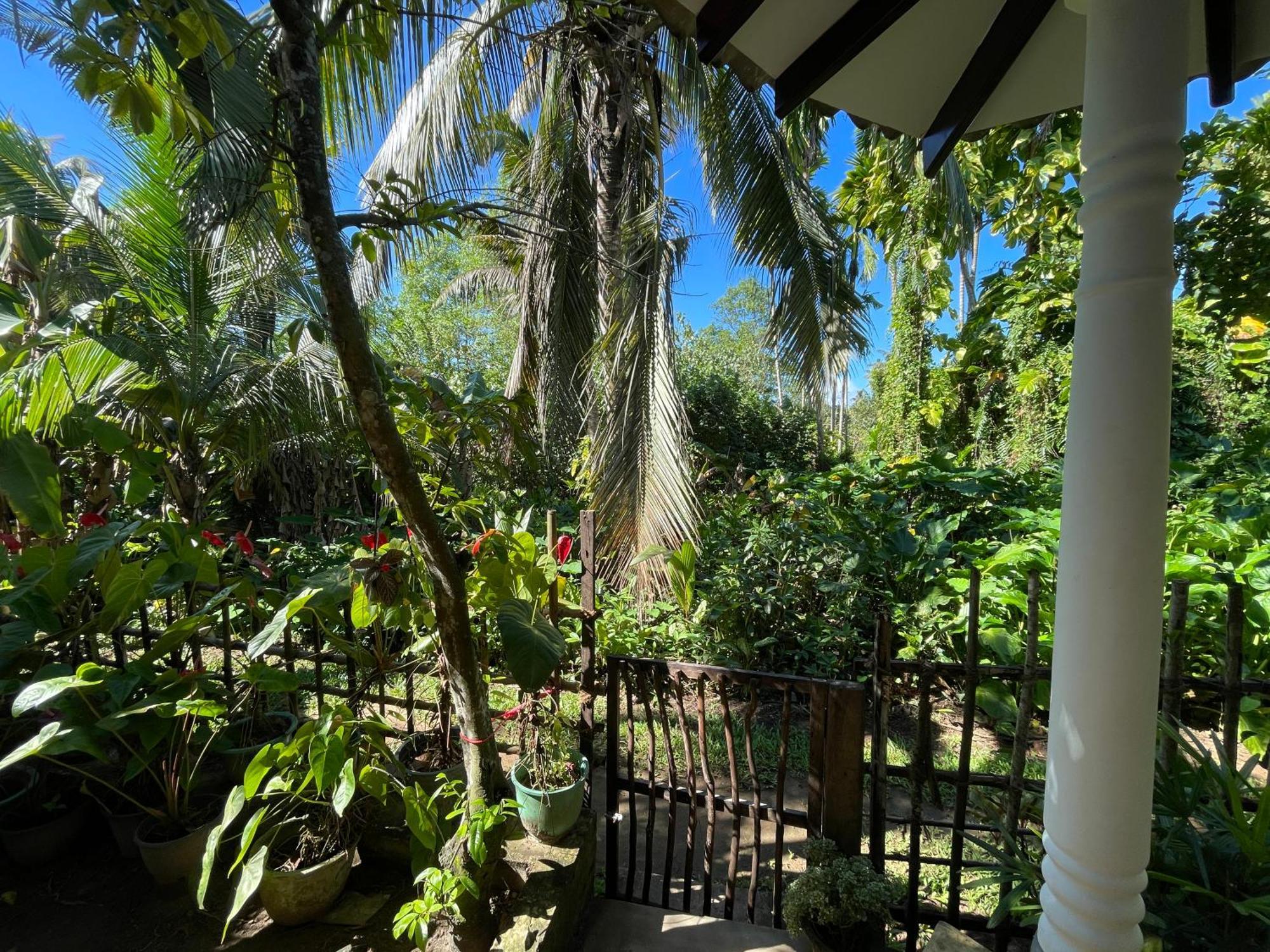 Sun & Tree Homestay Mirissa Exterior foto
