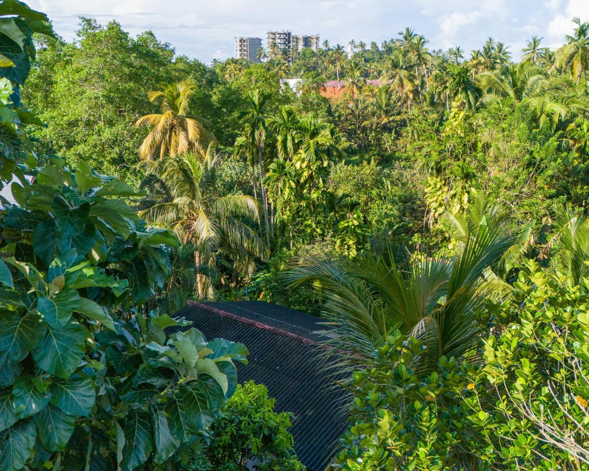 Sun & Tree Homestay Mirissa Exterior foto